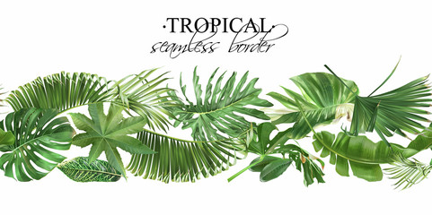 Wall Mural - Vector seamless border with green tropical leaves