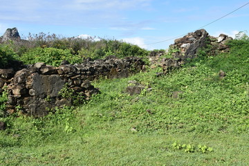 Wall Mural -  f noronha