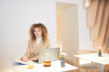 Wall Mural - Warm-toned portrait of curly-haired young woman looking at camera while working or studying sitting at table in cafe hall, copy space