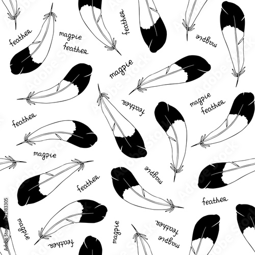 Fotografía Pattern of the feathers of a bird