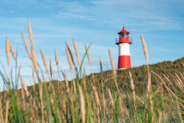Wall Mural - red lighthouse on the island of sylt, nordfriesland, germany