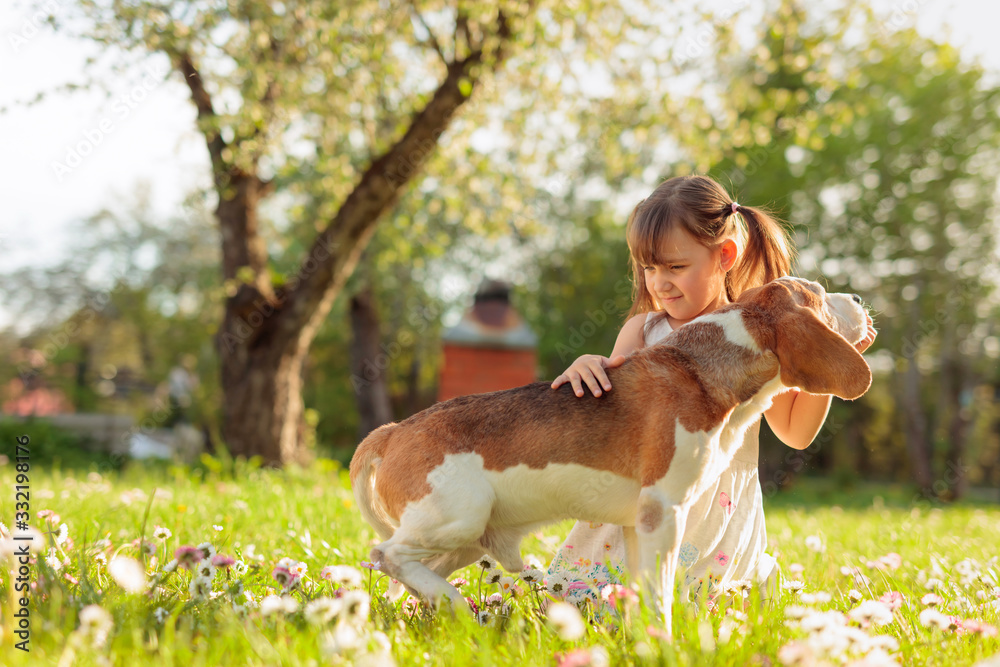 Happy little girl playing with dog in garden. Stock Photo | Adobe Stock