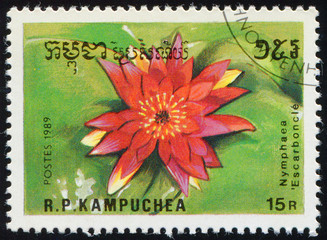 Wall Mural - CAMBODIA - CIRCA 1989: stamp 15 Cambodian riel printed by Kingdom of Cambodia, shows flowering plant Nymphaea Escarboucle, flora, circa 1989