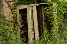 Abandoned Piano 