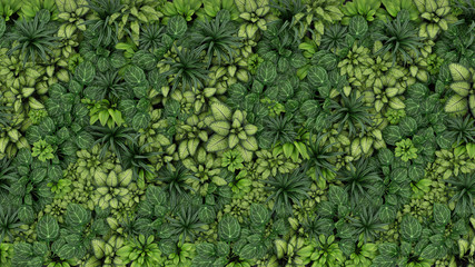 Green leaves foliage jungle tropical plant bush nature backdrop