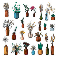 Big Collection Of Varied Vases, Bottles, And Jars Of Flowers And Plants. Hand Drawn Vector Illustration. Vintage Botanical Set. Decorative Floral Colorful Elements Isolated In White. Usable For Design