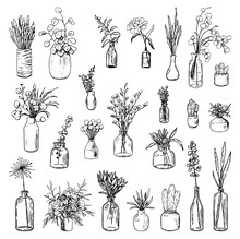 Big Collection Of Varied Vases, Bottles, And Jars Of Flowers And Plants. Hand Drawn Vector Illustration. Vintage Botanical Set. Decorative Floral Outline Elements Isolated On White. Usable For Design.