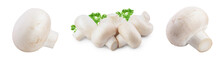 Fresh Mushrooms Champignon Isolated On White Background With Clipping Path And Full Depth Of Field. Set Or Collection