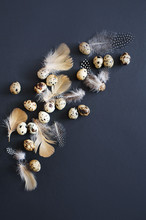 Quail Eggs With Feathers With A Beautiful