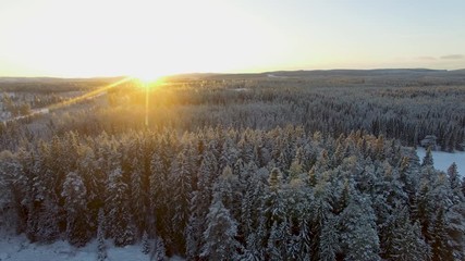 Cinematic aerial shot of the setting sun over a pine tree forest covered in snow in Sweden