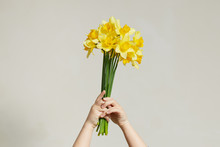 A Bouquet Of Yellow Daffodils In Kids Hands On White Background. Spring Yellow Flowers.
