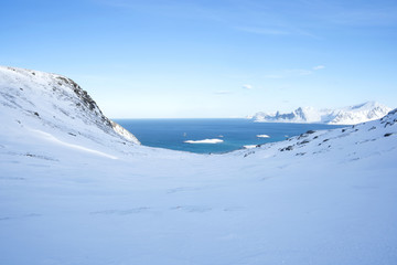 Wall Mural - Lofoten, Norway, Scandinavian nature, winter	