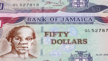 Wall Mural - Jamaica dollar notes tracking. Jamaican currency. Slider shot. Low angle, 4K