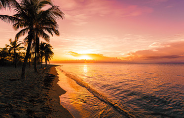 sunset on the beach