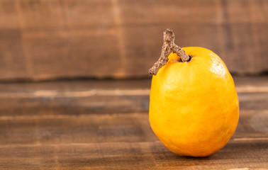 Poster - Jocotes in Colombia, tropical fruit - Spondias purpurea