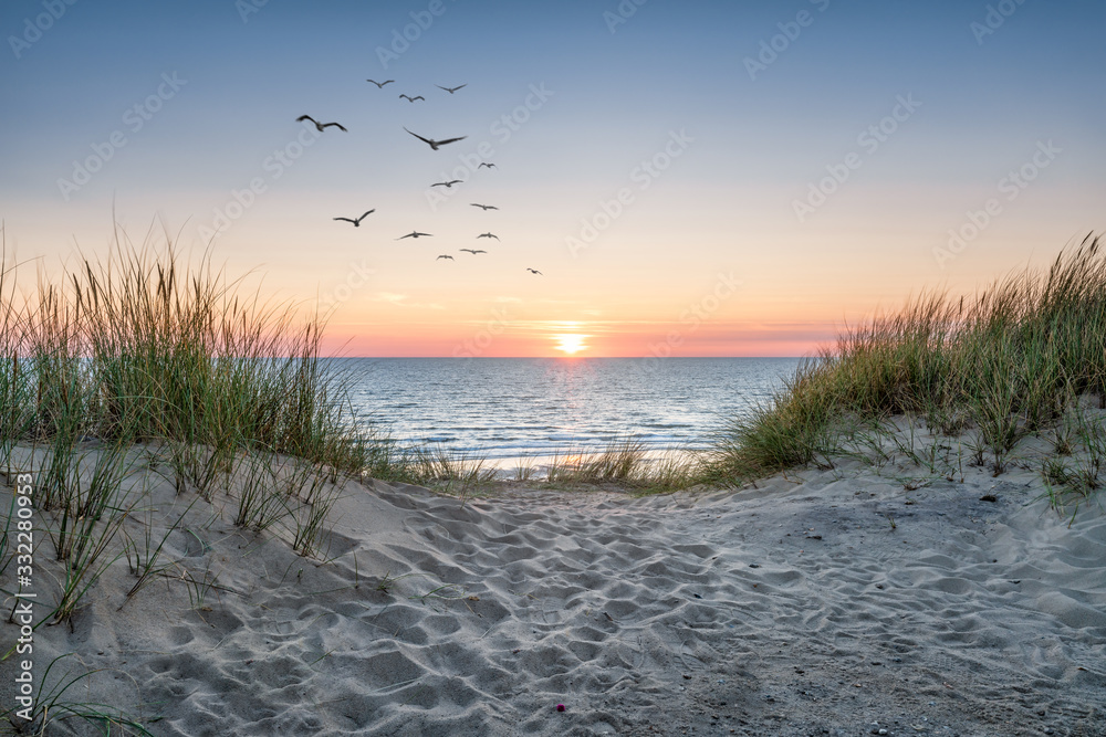 Sand dunes on the beach at sunset - obrazy, fototapety, plakaty 