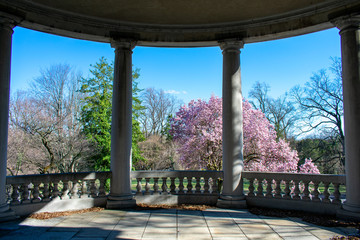 Wall Mural - The View From an Old Concrete Balcony With Large Pillars and  a Detailed Fence at the Elkins Estate