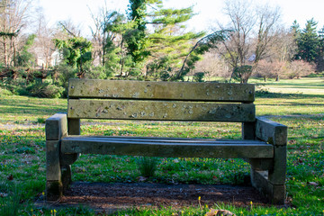 Wall Mural - An Old Park Bench With a Fallen Tree Behind It