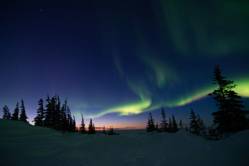 Wall Mural - northern lights aurora borealis in churchill manitoba canada