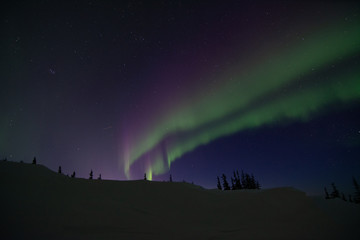 Wall Mural - northern lights aurora borealis in churchill manitoba canada