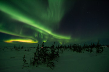 northern lights aurora borealis in churchill manitoba canada