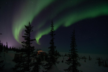 Wall Mural - northern lights aurora borealis in churchill manitoba canada