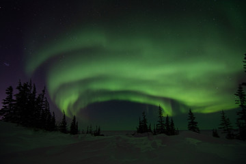 Wall Mural - northern lights aurora borealis in churchill manitoba canada