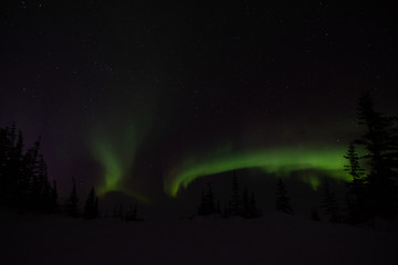 Wall Mural - northern lights aurora borealis in churchill manitoba canada