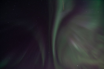 Wall Mural - northern lights in churchill manitoba canada