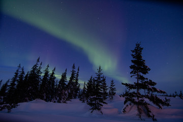 northern lights aurora borealis in churchill manitoba canada