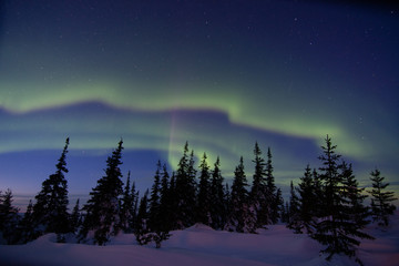 Wall Mural - northern lights aurora borealis in churchill manitoba canada