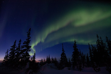 northern lights aurora borealis in churchill manitoba canada