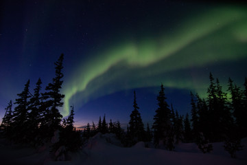 Wall Mural - northern lights aurora borealis in churchill manitoba canada