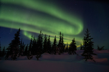 northern lights aurora borealis in churchill manitoba canada
