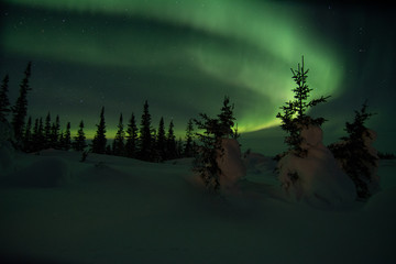 Wall Mural - northern lights aurora borealis in churchill manitoba canada
