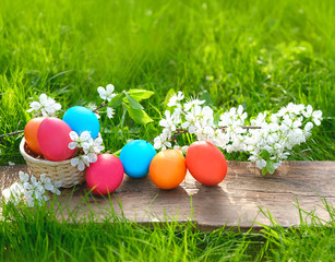 Canvas Print - easter holiday concept. spring cherry flowers and colorful painted eggs. festive easter traditional 