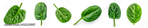 Fotomural Spinach leaf isolated on white background