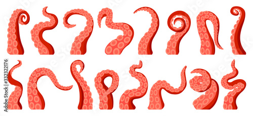 Fotografía Octopus of tentacle isolated cartoon icon