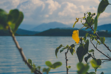 The shades of New Caledonia & Family times