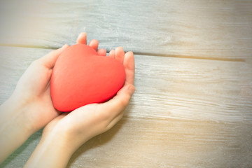 Female hands holding a red heart, the concept of love and care.