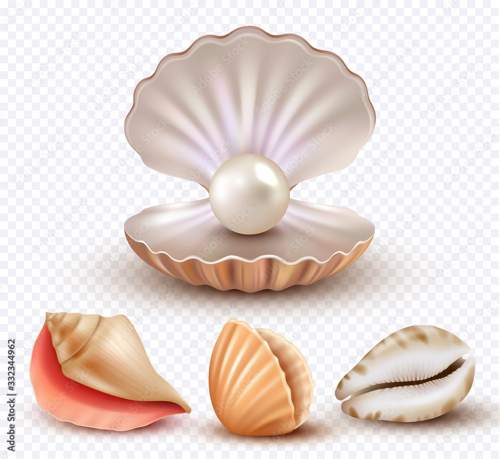 Realistic seashells. Mollusk shells ocean beach objects luxury pearls open concha vector collection. Pearl shell mollusk, ocean seashell illustration - obrazy, fototapety, plakaty 