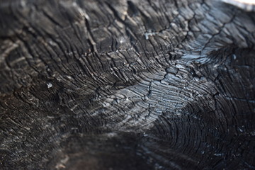 water drops on a surface