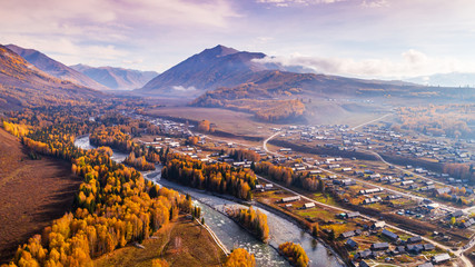 Sticker - Panoramic view of autumn trees in Xinjiang Hemu. 