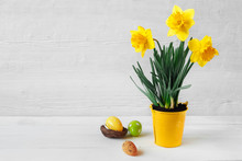 Beautiful Bouquet Of Yellow Daffodils In Bucket. Easter Eggs In Nest On White Wooden Background.