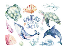 Set Of Sea Animals. Blue Watercolor Ocean Fish, Turtle, Whale And Coral. Shell Aquarium Background. Nautical Wildlife Dolphin Marine Illustration, Jellyfish, Starfish