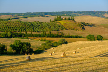 Wall Mural - Late summer aerial landscape of valley in Tuscany