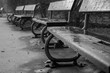 © Michela - black and white detail of icy benches of the park letna in prague