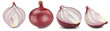 Collection onion. Red onion isolated on white background. Green natural onion clipping path. Fresh organic fruit.