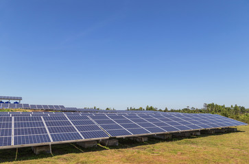 Wall Mural - array of polycrystalline silicon solar cells or photovoltaic cells in solar power plant turn up skyw