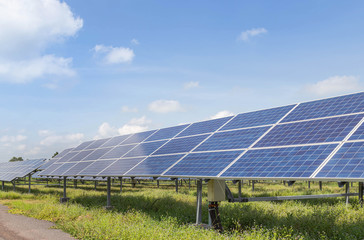 Wall Mural - rows array of photovoltaics solar panels in solar power station alternative clean renewable energy e